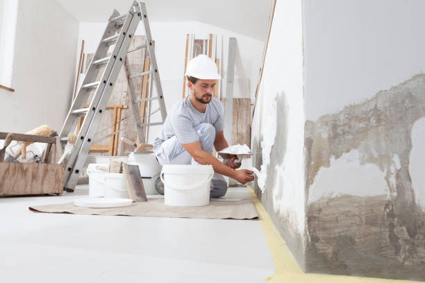 Best Repainting for Renovations  in Lake Shore, UT